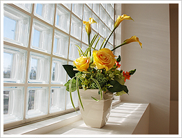 階段踊り場スペース